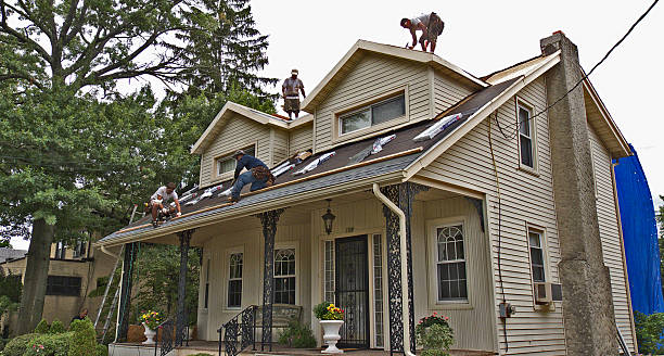 Best Roof Restoration Services  in Manistee, MI
